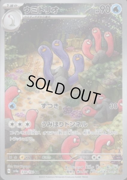 画像1: ウミトリオ(338/190 AR) (1)