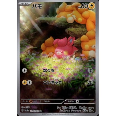 画像1: パモ(340/190 AR)