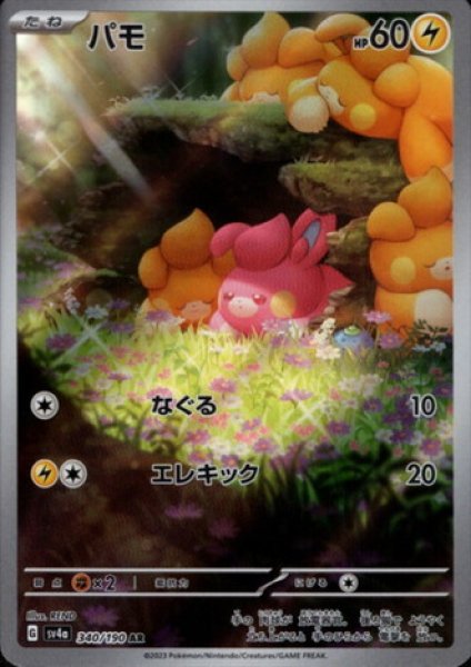 画像1: パモ(340/190 AR) (1)