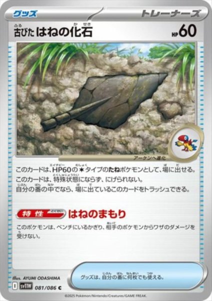 画像1: 古びたはねの化石 (1)