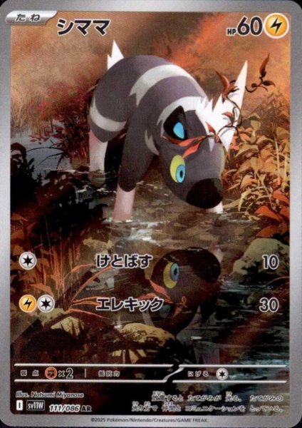 画像1: シママ(111/086 AR) (1)