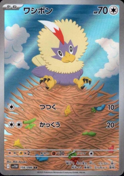 画像1: ワシボン(156/086 AR) (1)