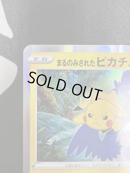 画像3: 【状態B】まるのみされたピカチュウ(105/S-P) (3)