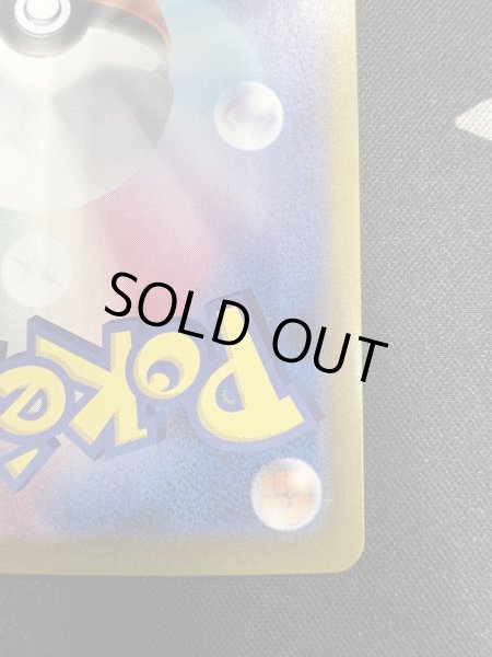 画像11: 【状態B-】ナンジャモ(350/190 SAR) (11)