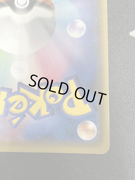 画像11: 【状態B】ポンチョを着たイーブイ(リーフィア)(142/SM-P) (11)