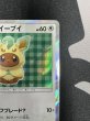 画像4: 【状態B】ポンチョを着たイーブイ(リーフィア)(142/SM-P) (4)