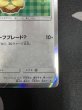 画像6: 【状態B】ポンチョを着たイーブイ(リーフィア)(142/SM-P) (6)