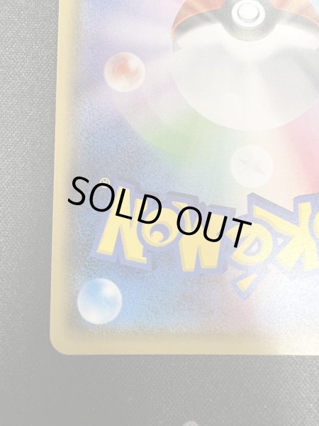 画像10: 【状態B】ポンチョを着たイーブイ(リーフィア)(142/SM-P) (10)