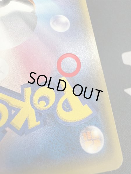 画像12: 【状態B】ポンチョを着たイーブイ(リーフィア)(142/SM-P) (12)