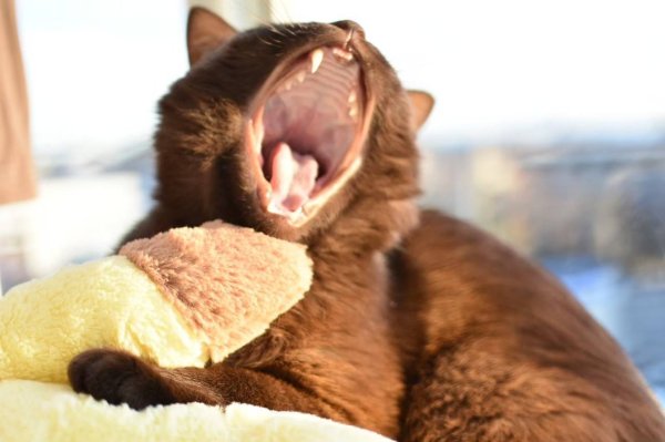 画像2: 2025/02/23 (2)