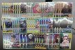 画像2: 緑黄トラファルガー・ロー デッキ販売 (2)