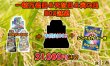 画像2: [PN]一粒万倍日＆天赦日＆寅の日袋 (2)