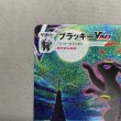 画像3: 【状態B】ブラッキーVMAX(095/069 HR) (3)