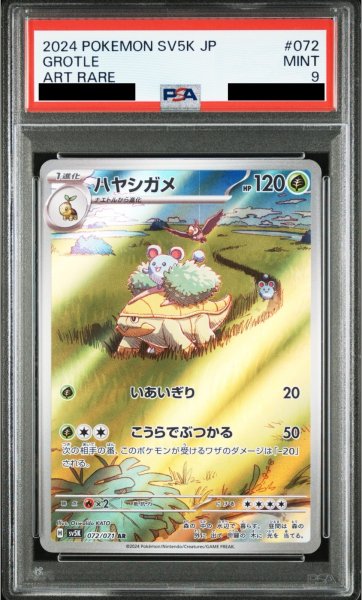 画像1: 【PSA9】ハヤシガメ(072/071 AR)【2号店併売中/店頭で状態確認可能！】 (1)