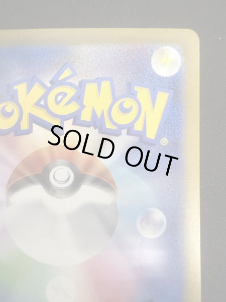 画像9: 【状態B】タロ(131/102 SAR) (9)