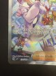 画像5: 【状態B】タロ(131/102 SAR) (5)