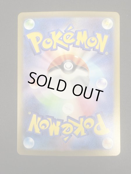 画像7: 【状態B】タロ(131/102 SAR) (7)