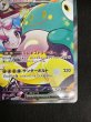 画像6: 【状態B】ナンジャモのハラバリーex(125/100 SAR) (6)