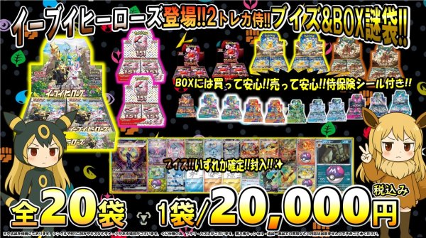 画像1: [PN]イーブイヒーローズ登場2!!トレカ侍!!ブイズ&BOX謎袋!!【全20口】 (1)