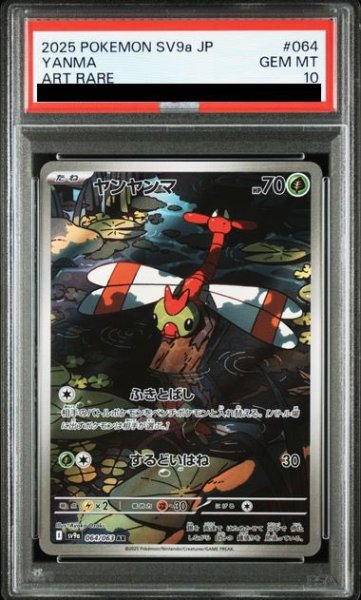 画像1: 【PSA10】ヤンヤンマ(064/063 AR)【2号店併売中/店頭で状態確認可能！】 (1)