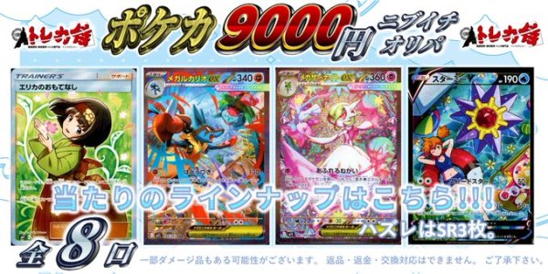 画像1: [ポケカ]ポケカ9,000円ニブイチオリパ【全8口】 (1)