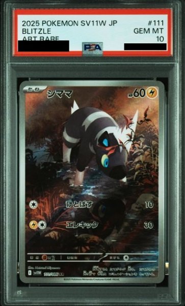 画像1: 【PSA10】シママ(111/086 AR) (1)