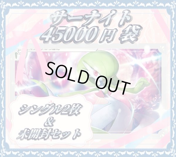 画像1: サーナイト45000円お楽しみ袋(全1口) (1)