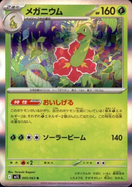 画像1: メガニウム(R)(005/063) (1)