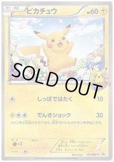 ピカチュウEX RR CP2 とピカチュウ PROMO BW-P151/BW-P 2026年最新