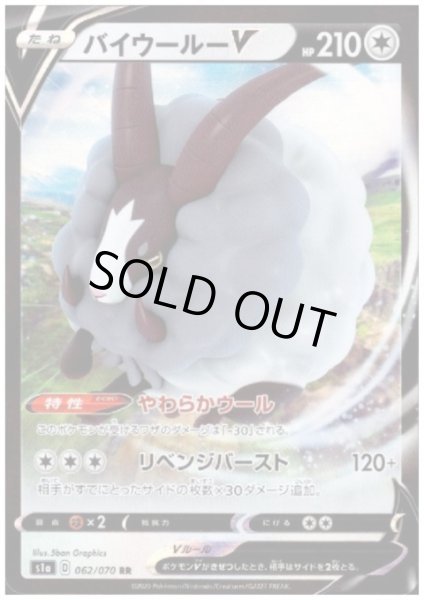 画像1: バイウールーV(062/070 RR) (1)