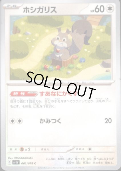 画像1: ホシガリス(あなにかくす/かみつく) (1)