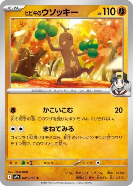 画像1: ヒビキのウソッキー 041/063 C (1)