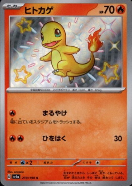 画像1: ヒトカゲ(210/190 S) (1)