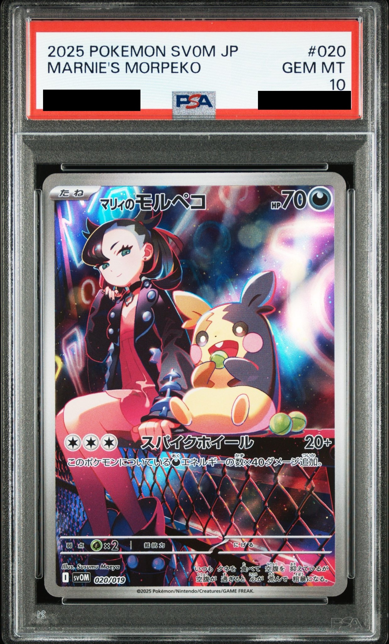 PSA10】 マリィのモルペコ 020/019の通販 magi公式アカウント